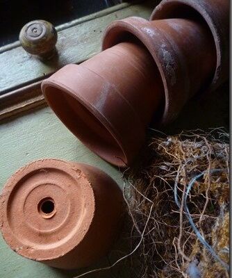 Faites entrer le printemps…