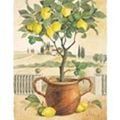 un délicieux classique : le lemon curd