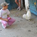 ferme pédagogique 