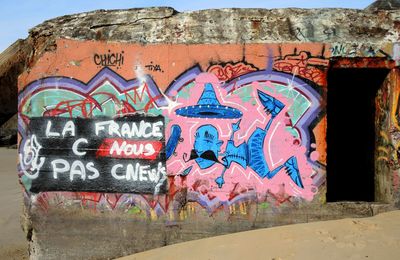 Blockhaus et couleurs à CAPBRETON et LABENNE-OCEAN (40)