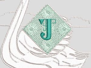                            122.70  X  134.80  mms