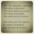 Sabine PEGLION : Métamorphoses et autres résonnances