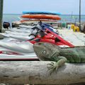 Key largo watersports