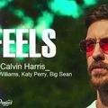 Calvin Harris - Feels