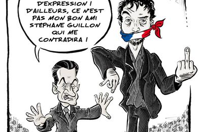 Liberté d'expression + Sarkosy = 2 