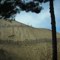 Balade sur la dune du Pilat: