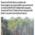 Forêt de Landes de Gascogne