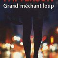 GRAND MECANT LOUP de James Patterson ***