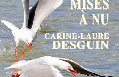 MISES A NU, Carine-Laure Desguin, Editions Jacques Flament, collection Dialogue, 2022, note de lecture de Nathalie DELHAYE