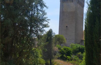 Abbaye de Montmajour