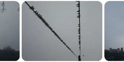 De justesse pour vous souhaiter mes voeux ... ce