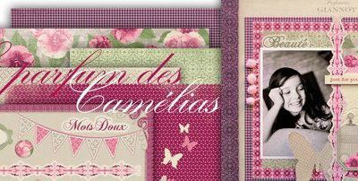 nouvelle collection pandore n°2 = blog candy n°2