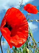 Tourisme en Verdunois