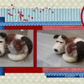 Broche Fox terrier tricolore