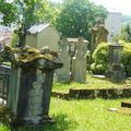 Avez-vous remarqué la tombe de M. Tripard, au cimetière des Chaprais?