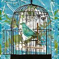 COLLECTION OISEAUX & CAGES