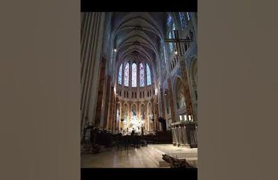 Cathédrale de Chartres , Chartres cathedral, de kathédraal van Chartres