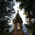 Un morceau de sacré dans une cathédrale de verdure..