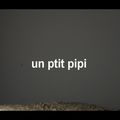 UN PTI PIPI