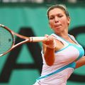 Fès : Brianti ou Halep pour un premier titre.