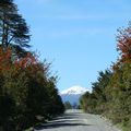 Carretera austral...