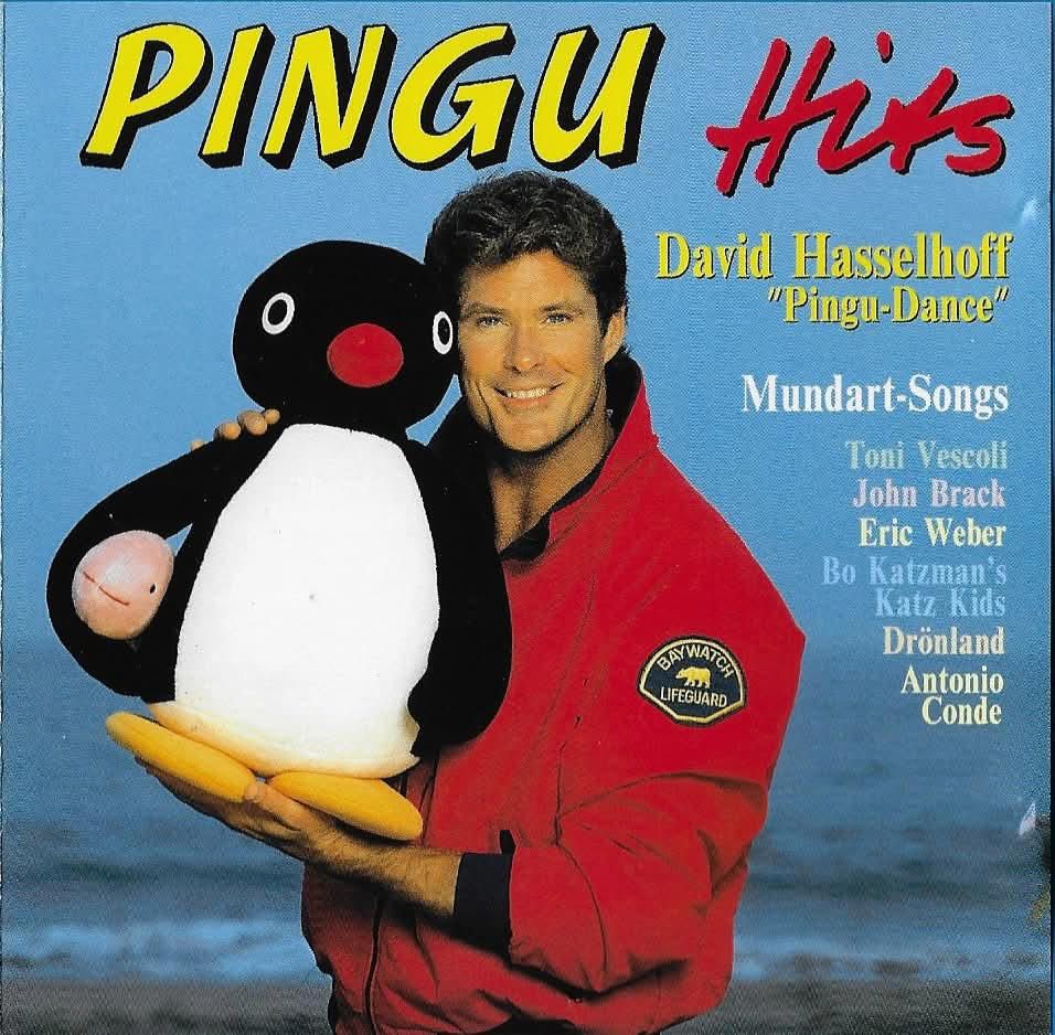 Les pochettes de sique, David Hasselhoff