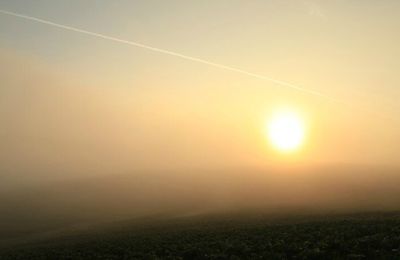 Vendanges 2013 : veillée d'armes et peur du vide!...