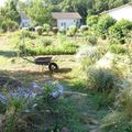 Doucement le potager prend forme