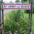 Suite de ma rando à St Jory Las Bloux