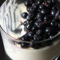 Panna Cotta - Nouvelle recette à noter dans vos carnets!