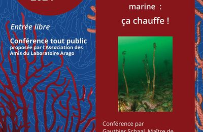 Conférence du 24 avril 2024 Climat et biodiversité marine : ça chauffe !