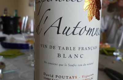 Clos de mounissens LB10 "espérance d'automne" vin de table français blanc