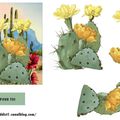 CACTUS PLANCHE, FONDS ET IMAGES