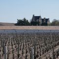 St Sauveur Médoc_14 avril 2019_La ronde des grands châteaux viticoles (Groupe des 25 km)