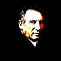 François Bayrou se macronise