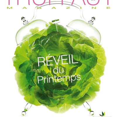 IL EST L'HEURE... DE COMMENCER UNE NOUVELLE ANNÉE !