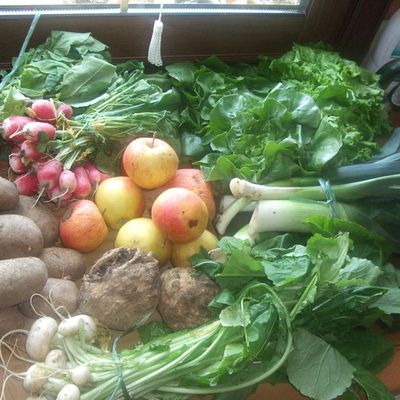 panier du 21 avril 2010