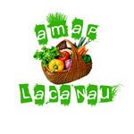 AMAP Lacanau