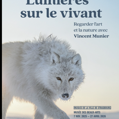 Une superbe expo : Vincent Munier 