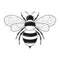 BELLE ABEILLE