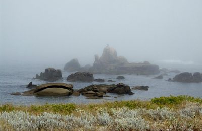 je reviens d'un pays de brumes... - vuelvo de una tierra de neblinas...