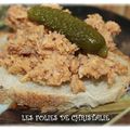 Rillettes de poulet