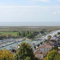 Mortagne sur Gironde