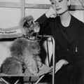Audrey Hepburn Sur le tournage de Sabrina
