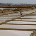 Les salines de Castro Marim