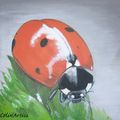 ♥ Coccinelle