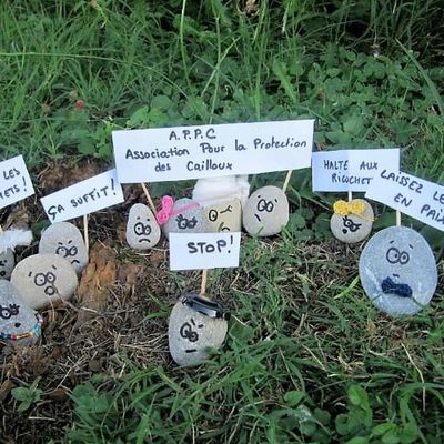 La révolte des cailloux : SC 336