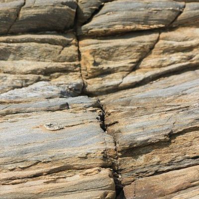  Il y a une faille en toute chose, c'est par là que passe la lumière.