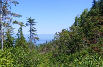 Retour en Gaspésie