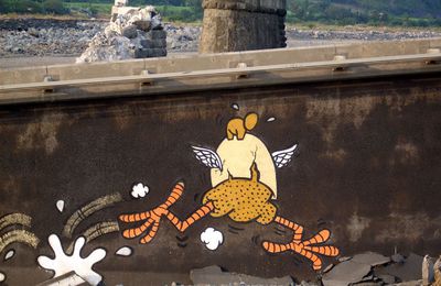 Jace ... sur le pont écroulé de St Louis après le cyclone Gamède !